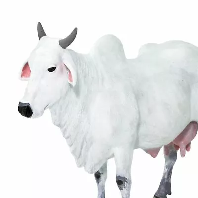 Safari Ltd Ongole Cow Product Code:100150 • $11.99