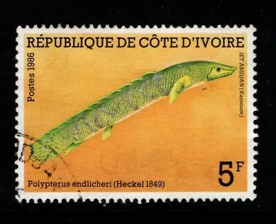 Ivory Coast Cote D'Ivoire 1986 5f Fish SG907 Used • $1