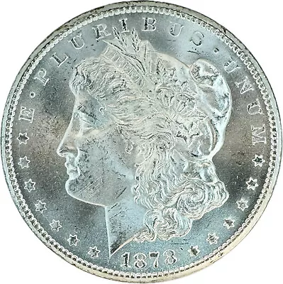 1878 Cc Morgan Dollar Jaw Dropping Blazer$$ Flawless Superb Gembu++++ Nr #100006 • $20.50