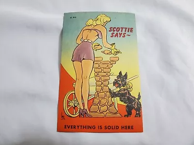 Vtg. Comic Linen Postcard Scottie Says Sexy Lady Dog Unused Color Litho D-044 • $5