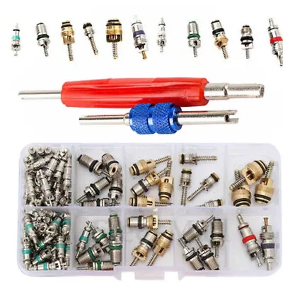 102pcs Car R12 & R134a A/C Air Conditioner American Valve Core Remover Tool Kit • $13.99