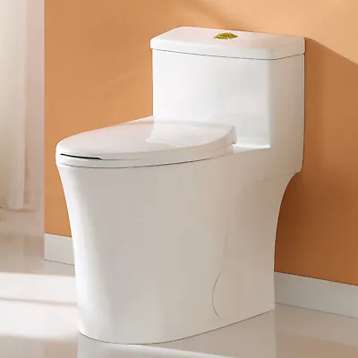 HOROW Elongated 1-Piece Toilet W/Comfort ADA Seat Dual Flush 12/10'' Rough In • $279.99