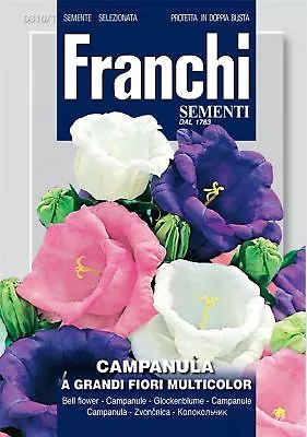 Franchi - FDBF_ 310-1 - Campanula Gradiflora Mix - Canterbury Bells - Seeds • £3.49