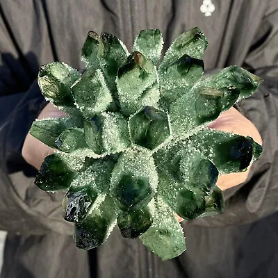 1.57LB New Find Green Phantom Quartz Crystal Cluster Mineral Specimen Healing • $0.99