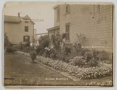 Vintage 1910s Gardening Well Designed Perennial Border Foundation Photos #8 (2) • $19.97