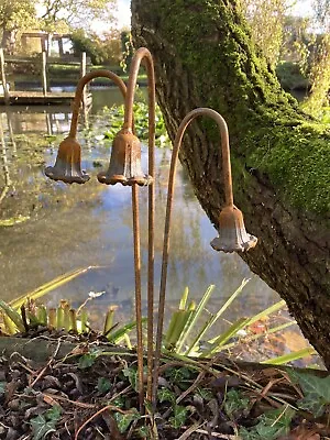 £18 • Buy Set Of 3 Rusty Metal Bluebell Flower Plant Supports Stakes Garden Decorations
