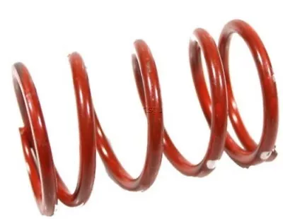 $16.29 • Buy Arctic Cat Firecat 700 F7, 2003-2006, Comet 207877A, Red Clutch Spring