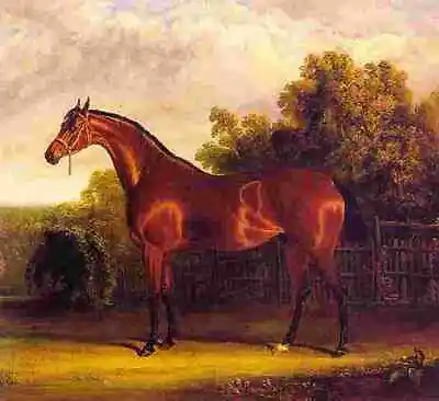 Herring J F Sr Negotiator The Bay Horse In A Landscape A4 Photo • £8.99