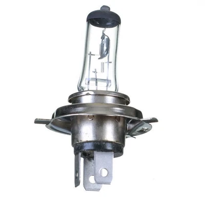 $58.16 • Buy Philips X-tremeVision Headlight Bulb For Suzuki S40 Boulevard LS650 2005 To 2022