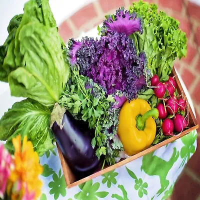 £0.99 • Buy Vegetable Seeds 80+ Varieties Carrot Pumpkin Cabbage Pea TOMATO SWEETCORN HERBS