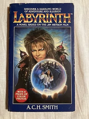 Labyrinth By ACH Smith 1st Edition Paperback Book • $92