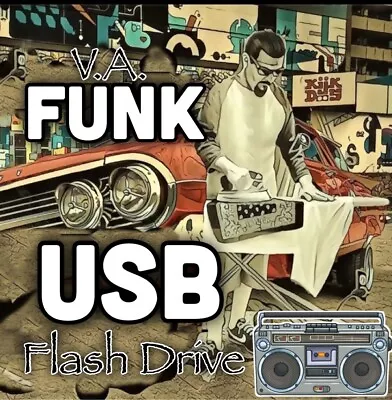 Funk USB Flash Drive • $50