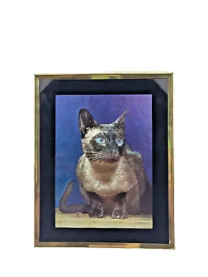  Vintage Siamese Cat Print In Elegant Blue Metallic Gold Frame  Dolan's Sports • $8.99