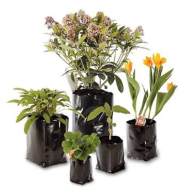 £38.75 • Buy Poly Plant Pots Grow Bag Container Hadopots Polythene Reusable Recycled PolyPots