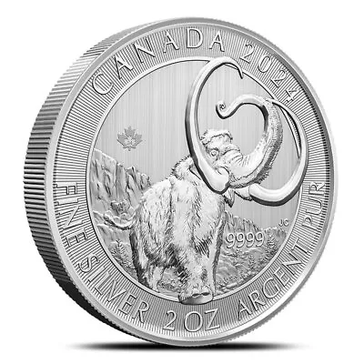 2024 2 Oz Canadian Ice Age Woolly Mammoth Silver Coin (BU) • $68.93