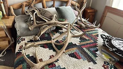 Colorado Elk Shed  • $75