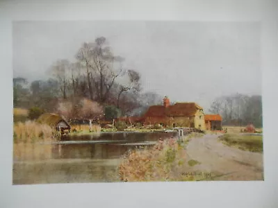 £7.99 • Buy Original Edwardian 1909 HAMPSHIRE Print Of Greywell Mill, Wilfrid Ball, Colour