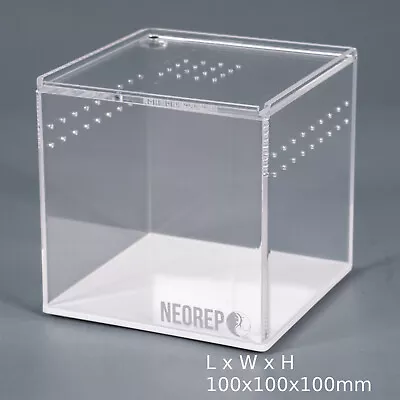 Acrylic Invertebrate Spider Tarantula Insect Millipede Scorpion Display Box Tank • £11.99