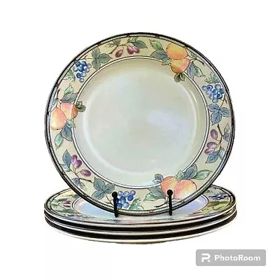 Mikasa Intaglio GARDEN HARVEST 11 1/8 Dinner Plate CAC29    • $9.60