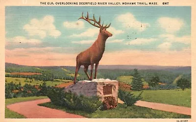 Postcard MA Mohawk Trail The Elk Deerfield River Valley 1952 Vintage PC F303 • $2