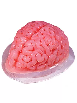 Human Brain Shaped Gelatin Mold Decoration • $8.98