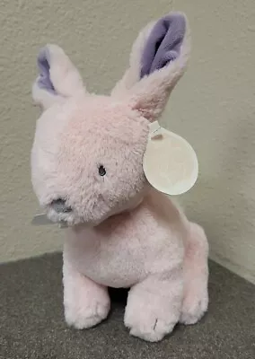 Baby Dumpling Pink Bunny Rabbit Musical Wind Up Plush Stuffed Animal Sunshine • $19.99