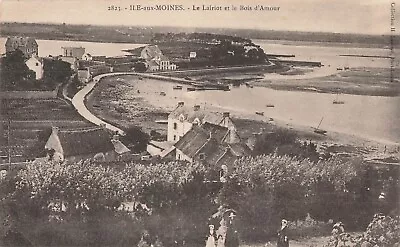 56 ILE AUX MONINES Le Lairiot Et Le Bois D'Amour Anime 43565 • $1.07