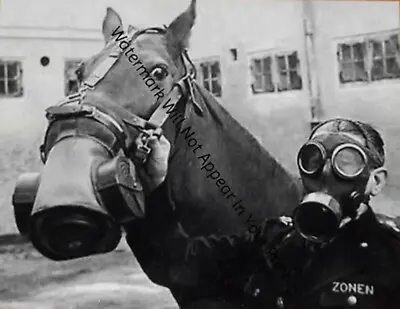 $6.77 • Buy SPOOKY BIZARRE CREEPY CRAZY FREAKY STRANGE WEIRD Horse Gas Mask VINTAGE PIC