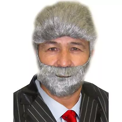 The Most Interesting Man In The World Costume Wig And Beard Set Grey • $12.95