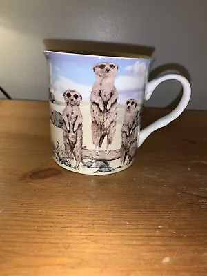 Meerkat Mug Leornard Collection VGC 1/2 Pint 3.5 In’s  • £7.50