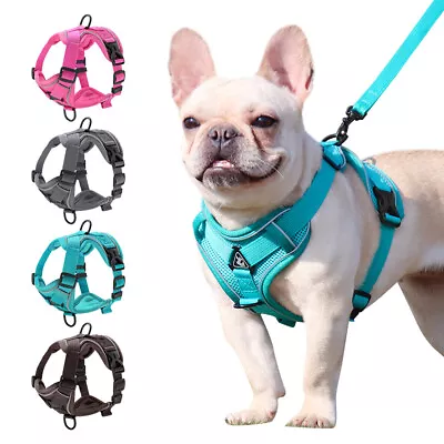 Step In Dog Harness And Leash Set Reflective Mesh Pet Cat Puppy Chest Strap S-XL • $13.79