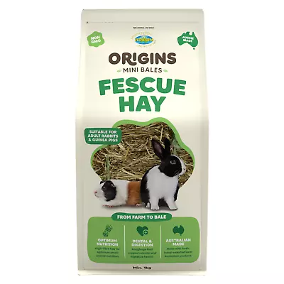 Vetafarm Origins Fescue Hay Mini Bale - Premium Rabbit & Guinea Pig Food (1 Kg) • $28.95