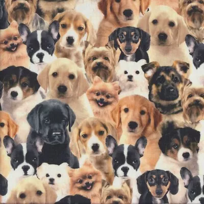 NEW Assorted Puppies French Bulldog Dachshund Beagle Dogs Quilting Fabric 1/2 Me • $15.95