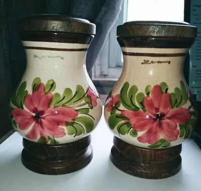 Vintage Zassenhaus Hand Painted Salt And Pepper Shakers W Germany • $12.95