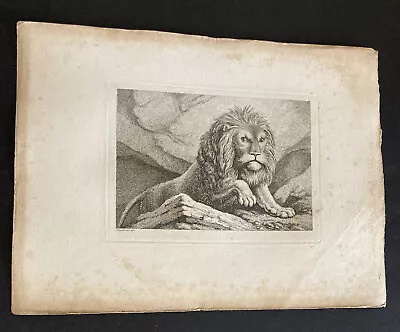 £9.99 • Buy Etching By Samuel Howitt LION 