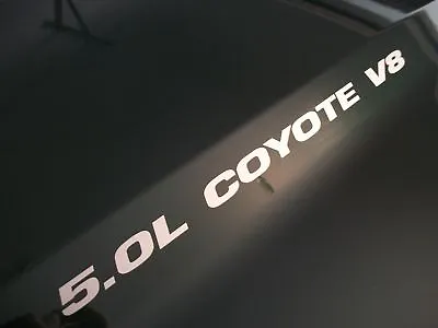 Ford Mustang GT F150 5.0L Coyote V8 Hood DECALS Emblem 13 14 15 16 17 18 19 20 • $9.99