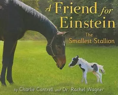 A Friend For Einstein The Smallest Stallion - Hardcover - GOOD • $3.78