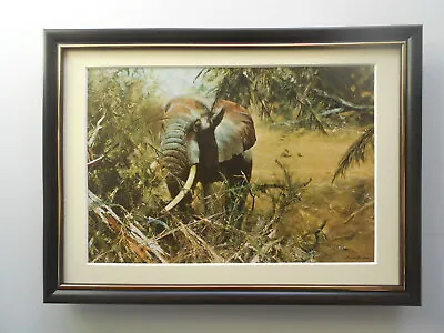 David Shepherd Print 'Browsing' Elephant FRAMED • £23