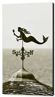 Mermaid Weathervane In Sepia 24 X36  Print On Metal • $281