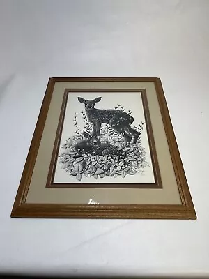 Vintage Michael Allender Signed Deer Print 16x20 Framed Numbered 37/300 1978 • $65