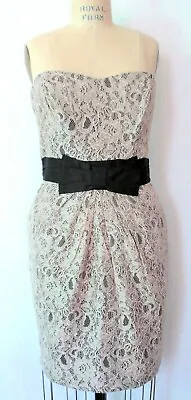 H&M Womens Gray Lace Sheath Dress 14 NWT Strapless Sweetheart Black Waistband • $57