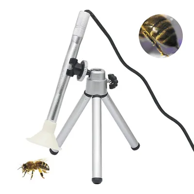 USB Dental Endoscope Camera 200X Digital Microscope Otoscopio Video Magnifier • $26.99