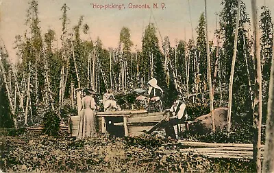 Hop Picking Oneonta New York State - 1907 - Oneonta & Schenectady Postmarks  • £6.50