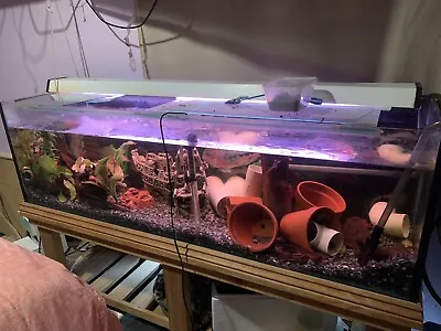 $700 • Buy Large Fish Tanks For Sale