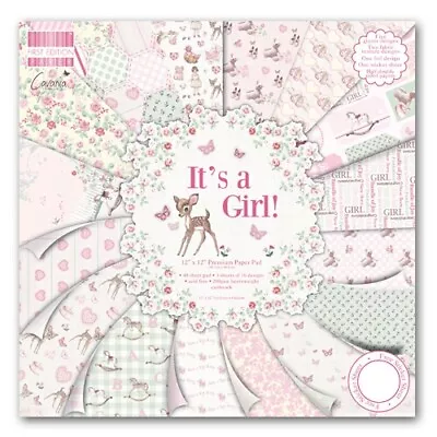 First Edition - 12  X 12  Paper Pad - Choose From Its A Girl/Its A Boy • £15