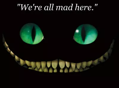 £3.99 • Buy WE ARE ALL MAD Alice In Wonderland Quotes Print Poster Wall Art Picture A4 +