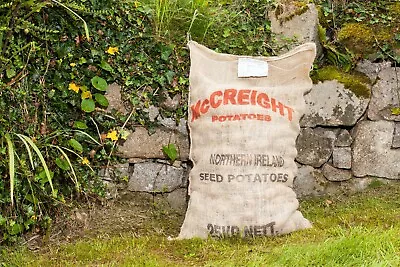 £12.50 • Buy 5KG BAG Certified Seed Potatoes !! - CHOOSE VARIETY. READY TO PLANT