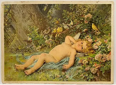 Nude Cherub Lies In Garden W Birds & Flowers Mellin’s Food Victorian Trade Card • $10.99
