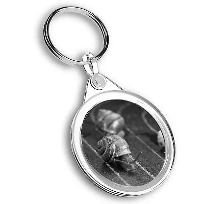 Keyring Circle - BW - Racing Snails Race Funny Insect Snail  #43556 • £4.99