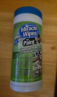 Miracle Wipes For Paint Clean Up Made Easy Profesional Grade Count 30 Wet Wipes • $12